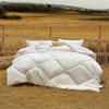 Mercury Home Textiles Одеяло Evelyn из австралийской шерсти с антибактериальным эффектом