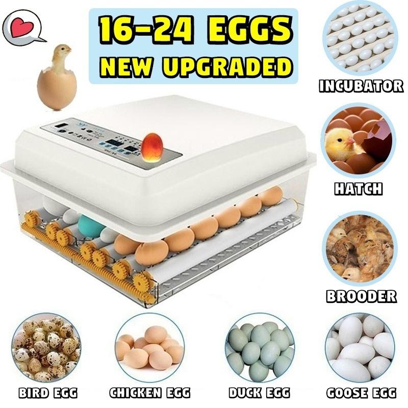 Upgraded Automatic Household 16-24 Eggs Incubator for Peacock Duck Goose Egg Quail Chicken Incubator Hatcher Brooder