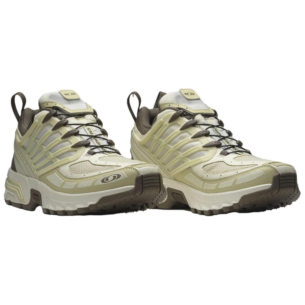 SALOMON Кроссовки мужские ACS Pro GORE-TEX Vanilla Ice Green Haze Кремово-каменно-серые L47736200