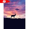 Алмазная картина Полная круглая вышивка животных, коров и облако, мозаика, вышивка крестом