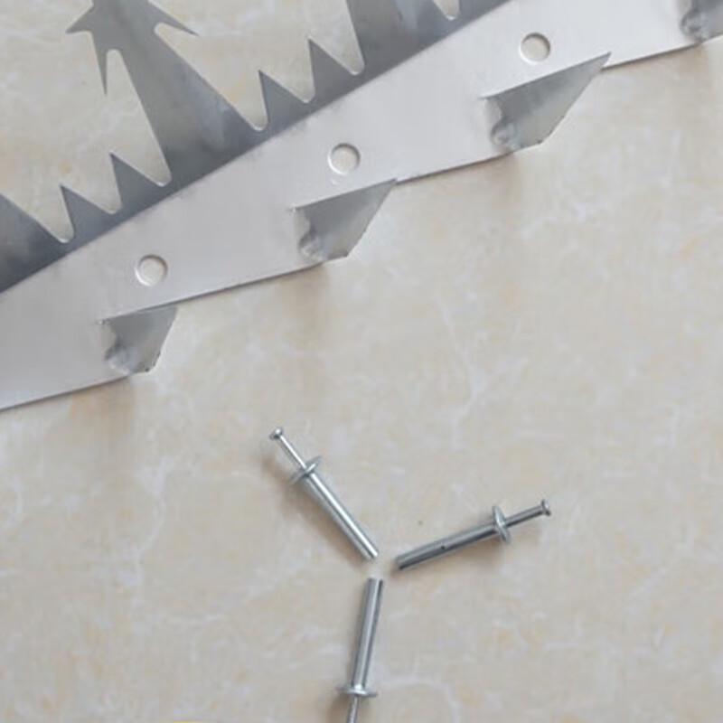 Shurong 304 Stainless Steel Wall Anti-climb Safety Spikes