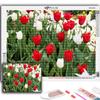 DIY 5D алмазная живопись цветы тюльпаны набор для вышивки крестом полная дрель вышивка мозаика художественная картина стразы подарок