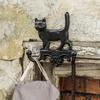 Vintage European Wrought Iron Cat & Dog Wall Hook for Garden and Home Decor