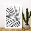 Плакат с пальмовыми листьями, скандинавский растительный арт-принт, черно-белая минималистская картина на холсте, современная настенная картина для гостиной, домашний декор