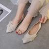 Single Shoes Women's New Spring and Autumn Gentle Soft-soled Flat Shoes Shallow Mouth Versatile Shoes