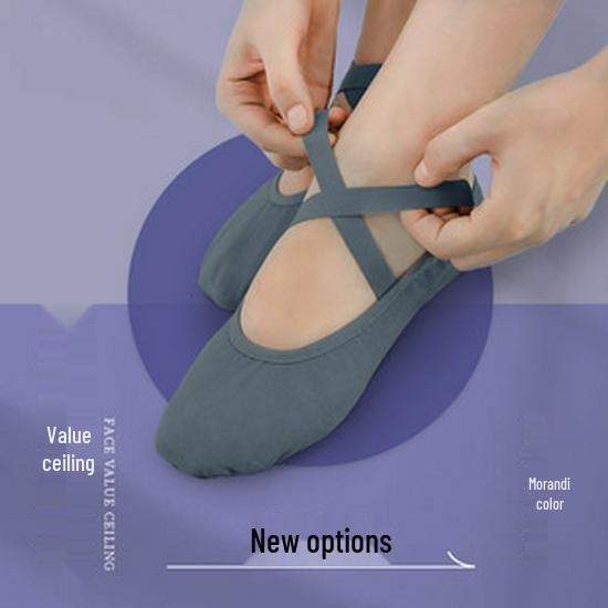 Детские балетные туфли с кошачьей лапкой: Эластичная, Мягкая Подошва, Холщовая Тренировочная Обувь без Шнурков