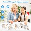 Деревянный пазл «Жизненный цикл», многослойный пазл «Животные, насекомые, рост растений», пазл для дошкольников, развивающие игрушки для детей, мальчиков и девочек
