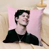 Singer SShawn Mendes Cushion Cover Silky Short Plush DoubleSided Printed Pillow Case for Sofa All Seasons Home Decor Gift