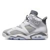 Air 6 Retro 'Cool Grey' Мужские CT8529-100