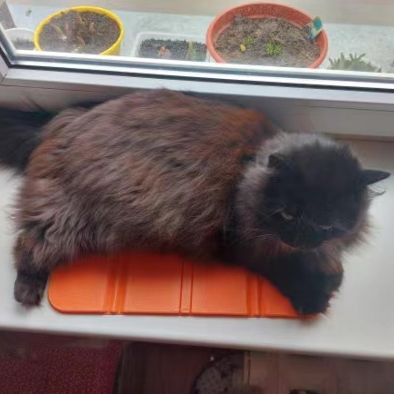 Подушка для сиденья на открытом воздухе для путешествий, рыбалки, складная пена, портативный сверхлегкий коврик для кемпинга, коврик для пикника, влагостойкая подкладка