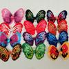 Maltese Yorkshire Terrier Butterfly Flower Hair Accessories