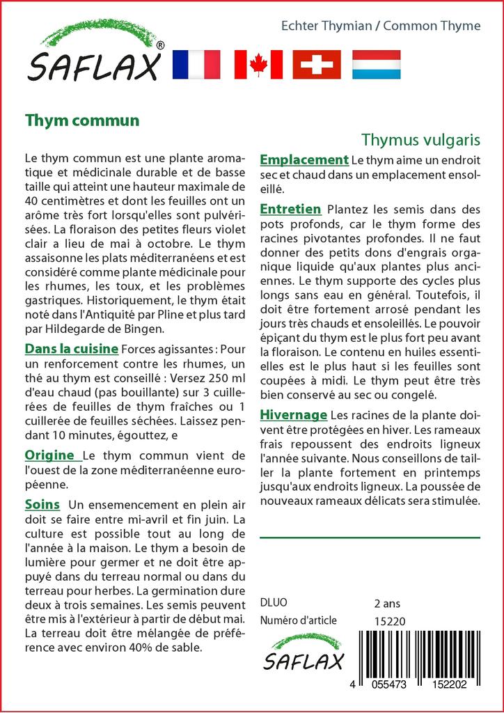 SAFLAX Тимьян обыкновенный - 200 семян - Thymus vulgaris