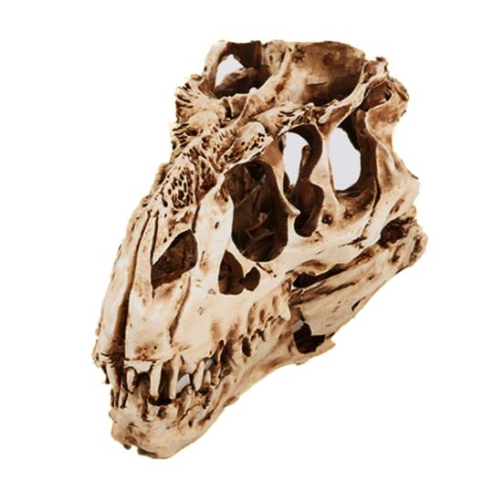 Индивидуальность Уникальная смоляная модель черепа динозавра для помещений