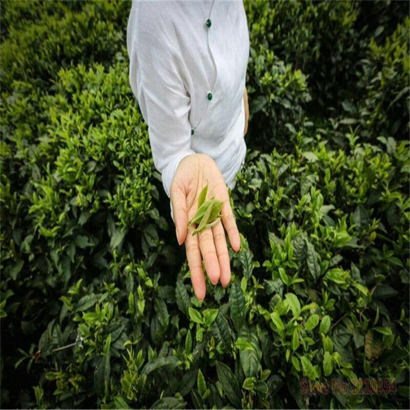 200g Lichee Black Tea Lychee Congou Kung Fu Red Tea Fruit Herbal Tea