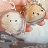 Funny Rabbit Shape Hair Storage Keepsakes Box Keychain Plastic Clear Pet Furs Collector Pendant Decors Pet Lover Gift
