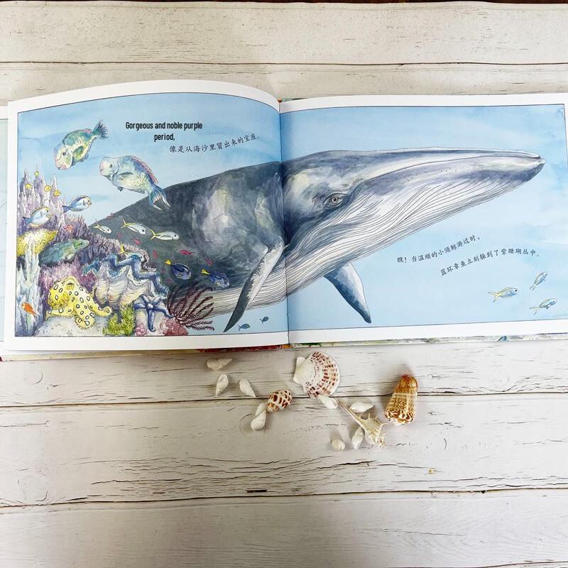 Книжка-картинка «Коралловое королевство»