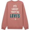 Levis Свободный Повседневный Удобный Свитер с Письменным Рисунком в Рубчик с Круглым Вырезом и Длинным Рукавом Мужской свитшот Красно-Коричневый 002Y3-0001