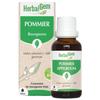 Herbalgem Macérat Concentré Pommier Bio 30 мл