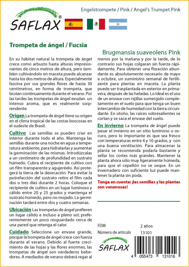 SAFLAX Angel's Trumpet Pink - 10 семян - Brugmansia suaveolens Pink