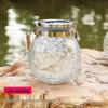 Solar-Powered Outdoor Garden Hanging Light - Glass Mason Jar Christmas Decoration