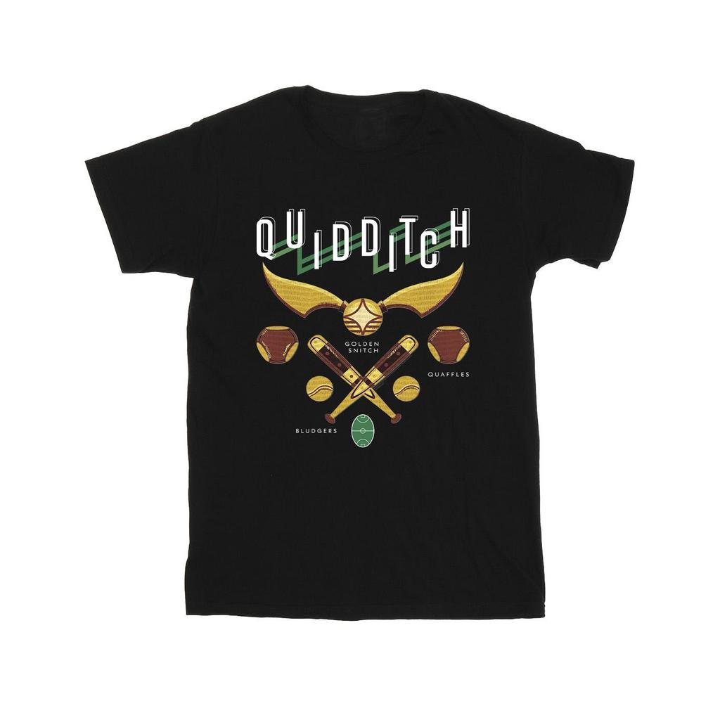 Harry Potter Mens Quidditch Bludgers Quaffles T-Shirt