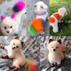 Semi Permanent Pet Dye Cream High Pigmented Colorful Dog Hair Bright Coloring Dyestuff Pigment Supplies Pet Hair Color