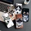 Husky Dog Casing Phone Cover for Motorola Moto Edge 70 60 Fusion NEO Pro G Stylus G56 G96 G52 G04 G05 20 Soft Case