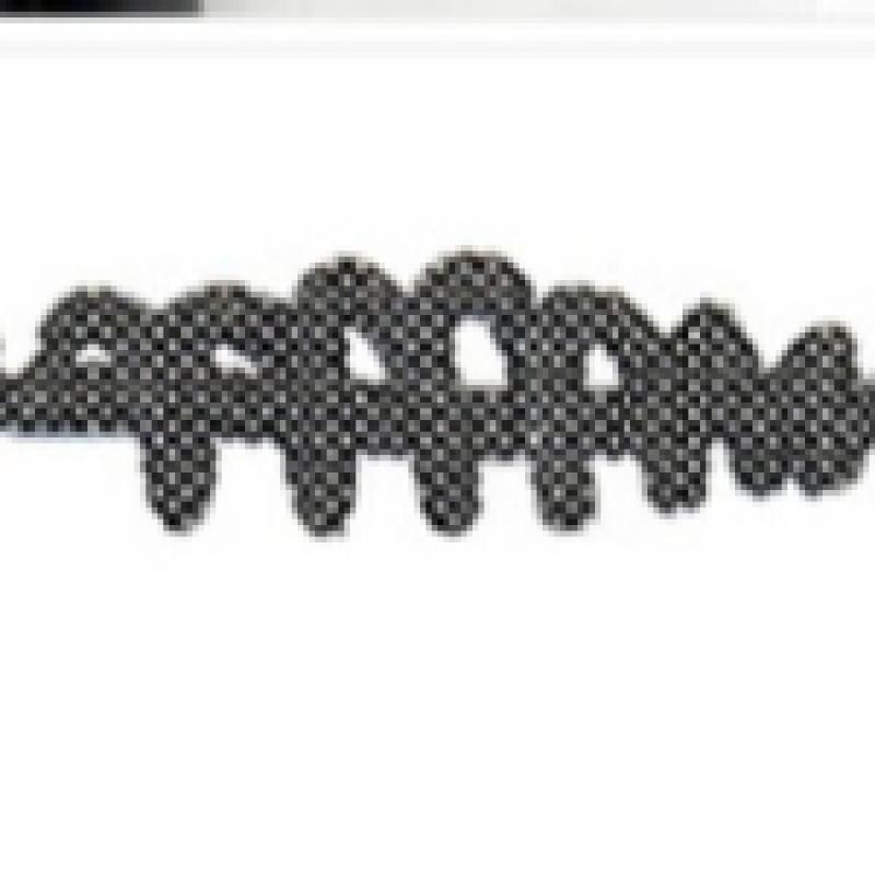 Daiso Mascara Brush 2p