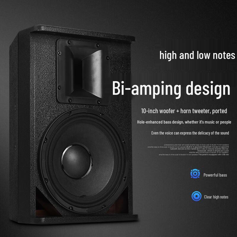 KAXISAIER A-Series 10-inch Passive HIFI Speaker