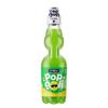 Pop Goli Soda – Apple Mojito Flavor, Fizzy Marble Soda, 225ml