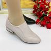 Spring and Autumn Four-season Shoes Women's Shoes Thick Heels Comfortable Casual Work Women's Shoes