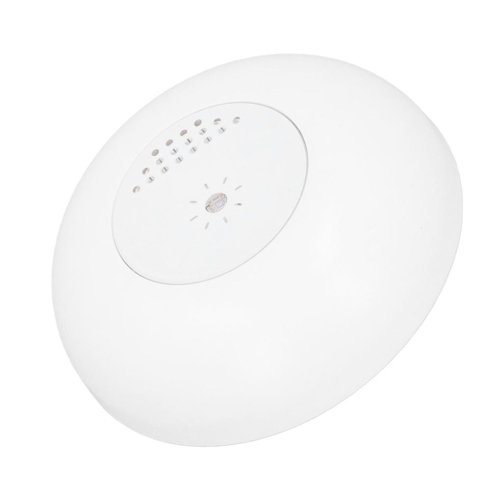 Light Sensor High Sensitivity APP Remote Control Real Time Alert Luminosity Detection Sensor for Hom