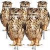Decoration Reflects Light Bird Scarer Bird Repelling Artifact Fake Owl Bird Repellent Pest Control