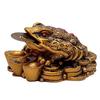 Money Frog with Coin Showpiece Polyresin Brass Color