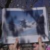 Книга погоды