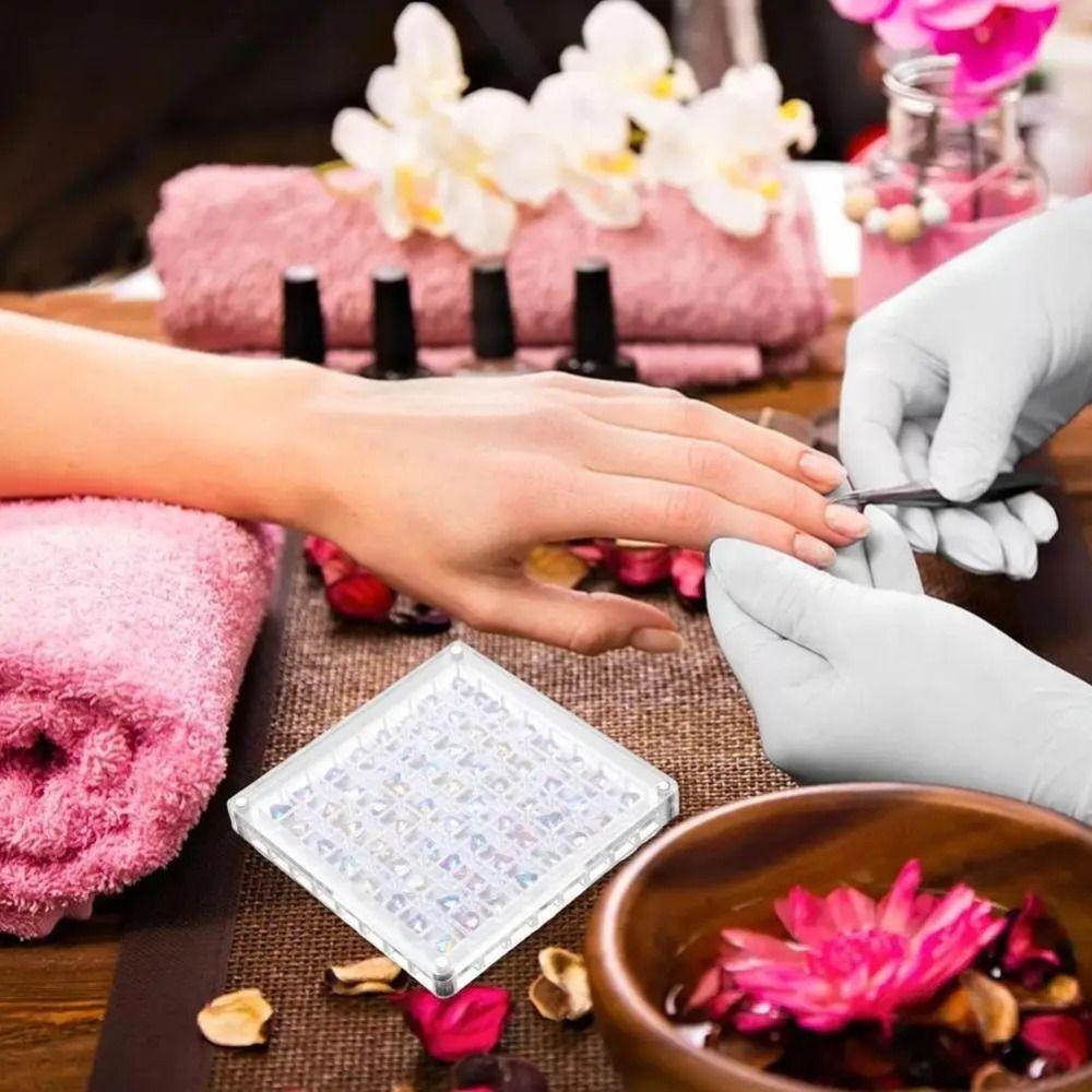 Plastic Magnetic Seashell Display Box Mini Seashell Collection Case New Seashell Storage Box