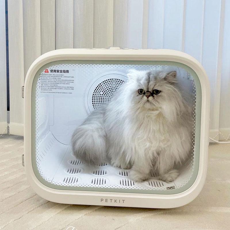 Mini Cat Dryer Machine Household Pet Grooming Drying Cabinet Profession Blower Box for Cat Animal Bathing Dry Room Products