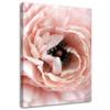 Canvas Print Peony Flowers Pink