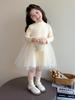 Girls' 2025 Autumn Princess Mesh Dress - Little Girl's Fashionable Casual Skirt