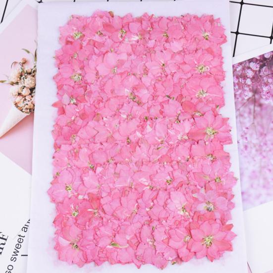 12Pcs Dried Flowers Creation Epoxy Resin DIY Pressed Long-lasting Dried Flowers