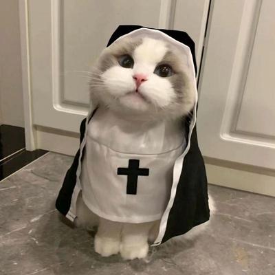 Платье для питомца Косплей Головной убор монахини Щенок Котенок Платье в стиле монахини Одежда для Хэллоуина Набор костюмов для питомца Одежда для преображения собаки