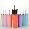 Plastic Water Cup Fashionable Rose Gold Cover Matte Multi-Color Double-Layer Plastic Straw Cup