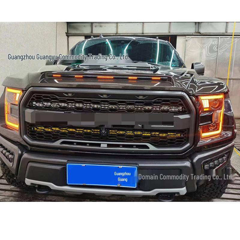Светодиодные точечные светильники, скрытые в решетке радиатора, для Ford Raptor F150 17-24