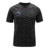 Puma Футболка с коротким рукавом Individual Cup Jersey Asia Sp 660505 07