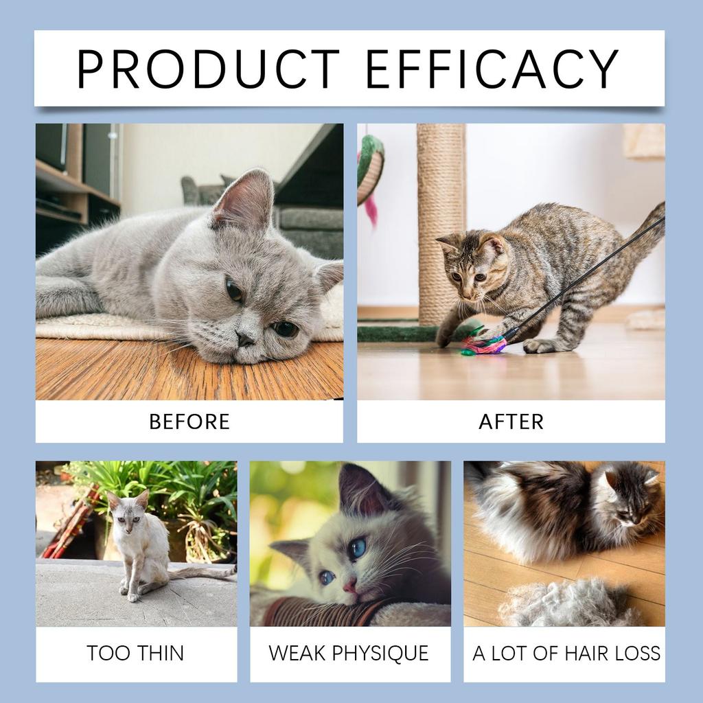 Пищевые добавки для домашних животных, Жидкость для питания кошек для повышения иммунитета и жизненной силы, Капли пищевой добавки для домашних животных, 50 мл