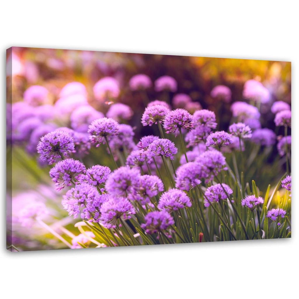 Canvas print, Violet garden