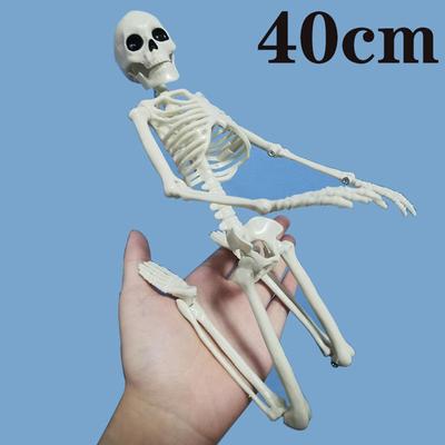 40 см активная модель человеческого скелета, медицинское обучение, анатомия, модель скелета, украшение для Хэллоуина