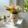 Cartoon Succulent Flowerpot Resin Plant Cultivation Pot Plant Growing Container  Succulent Planting