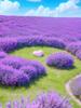 Новое поступление Алмазная мозаика Лавандовый цветок Полный квадрат Круглая вышивка Любовь 5D DIY Картина ручной работы Подарок