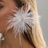 Multi-color Feather Geometric Rhinestone Earrings Ins Luxury Dangle Ear Jewelry  Holiday Styling
